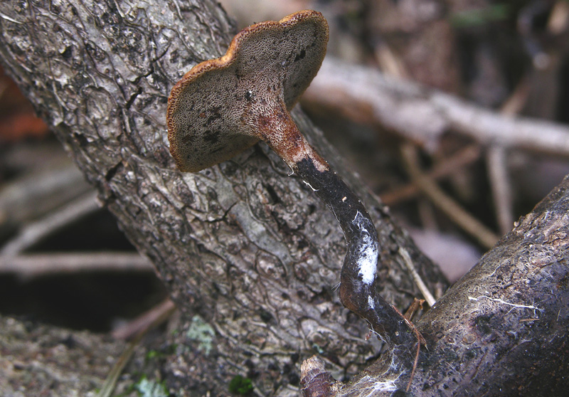 Facili,meno facili...per allenamento...